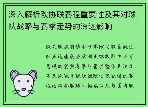 深入解析欧协联赛程重要性及其对球队战略与赛季走势的深远影响