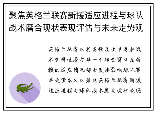聚焦英格兰联赛新援适应进程与球队战术磨合现状表现评估与未来走势观察